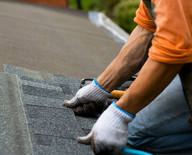 Best Roof Leak Repair  in Wapakoneta, OH