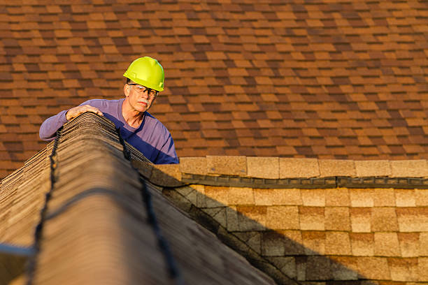 Best Local Roofing Companies  in Wapakoneta, OH