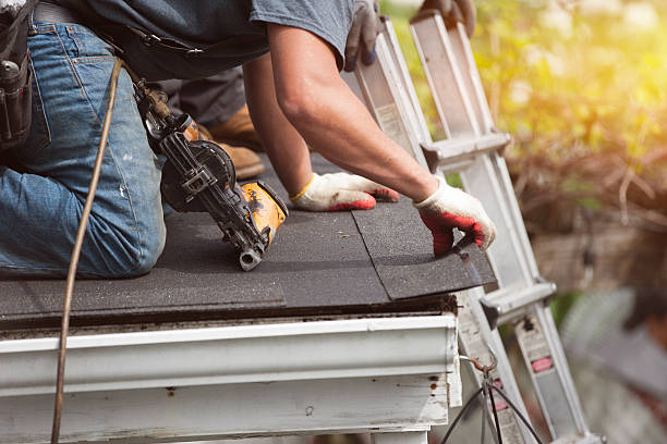 Best Storm Damage Roof Repair  in Wapakoneta, OH